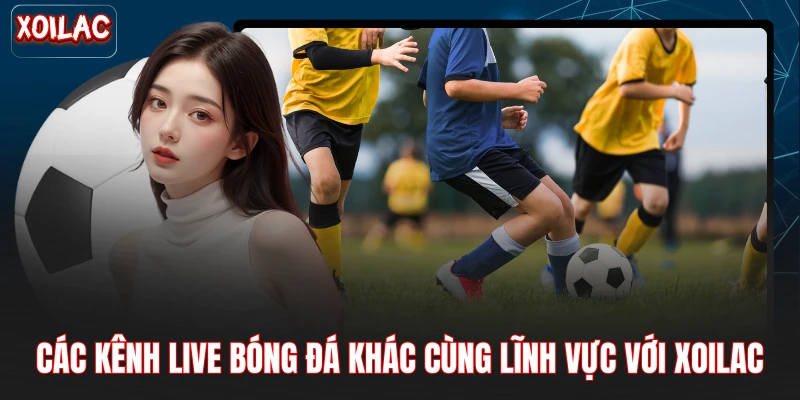 Các kênh live bóng đá khác cùng lĩnh vực với xoilac
