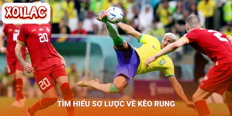 Tìm hiểu sơ lược về kèo rung